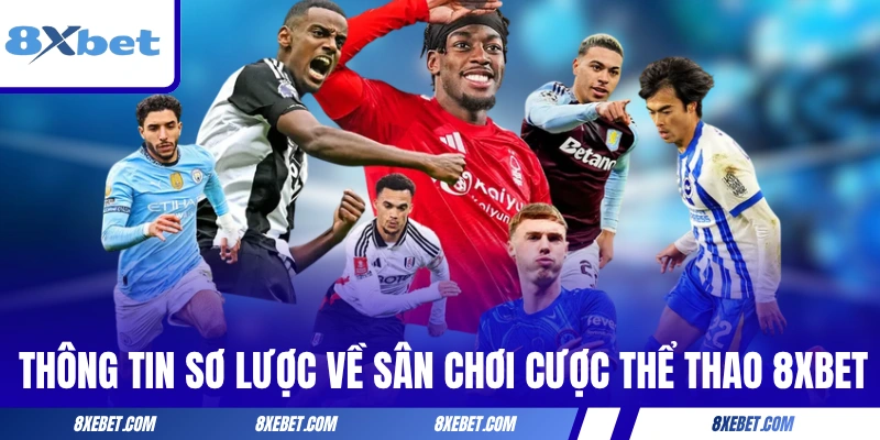 Thông tin sơ lược về sân chơi cược thể thao 8XBET